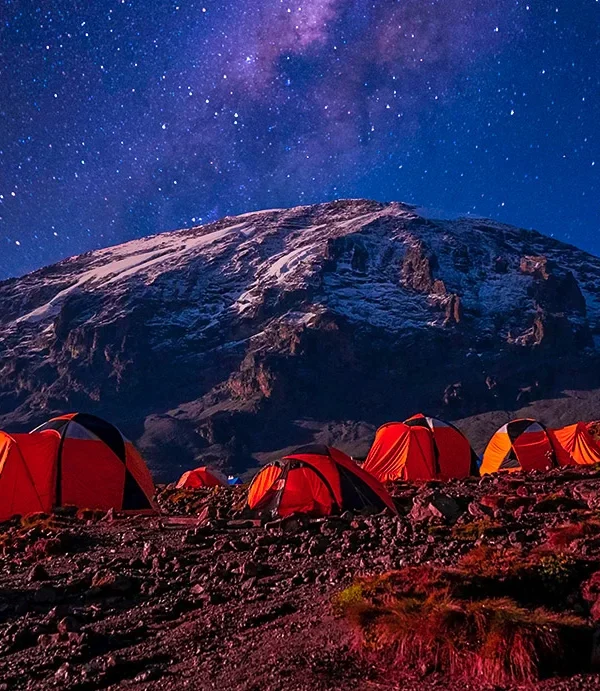 Vera-kilimanjaro